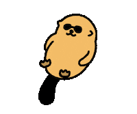 Happy Sunday Fun Sticker by takadabear