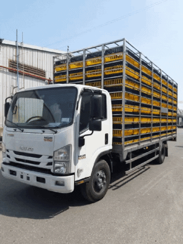 nguyntrungtin giphyupload xe tải isuzu xe cho gia cam xe isuzu 5t cho ga GIF