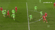 Save Koen Casteels GIF by VfL Wolfsburg