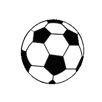European Championship Football Sticker by sylterinselliebe