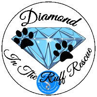 Ditrr Sticker by Diamond In The Ruff Rescue