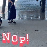Nop GIF