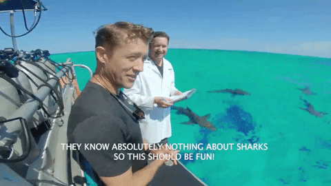 Shark Week Immersion GIF by Shark Week