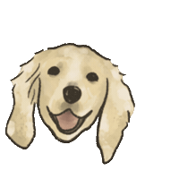 Lumi Sticker