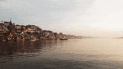 India River GIF