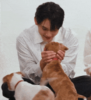 Dog Puppy GIF