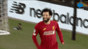 Happy Celebration GIF by MolaTV