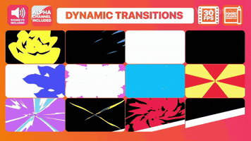Animated Dynamic Transitions