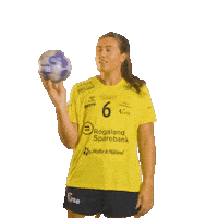 Rema1000Ligaen Sticker by Norsk Topphåndball