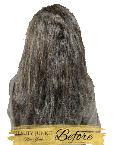 BeautyJunkieNY hair hair style hair stylist straight hair Sticker