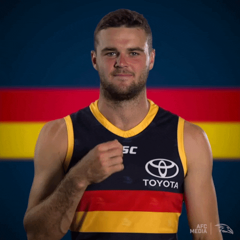 brad crouch afl GIF by Adelaide Crows