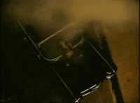 music video GIF
