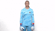Sport Goalkeeper GIF by National Women's Soccer League