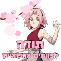 דוכן שיפודן Sticker by StoreShippuden