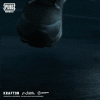 Battle Royale Rondo GIF by Official PUBG MOBILE