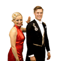 Ceskatelevize Televize Sticker