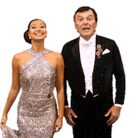 Ceskatelevize Televize Sticker