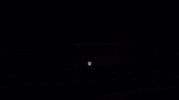 Bsp GIF by BlankSquareproductions