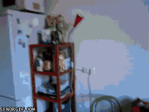 extreme how the GIF by Cheezburger
