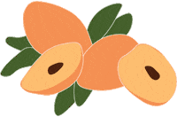 Sapodilla minimal fruit studio leaves Sticker