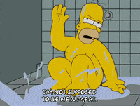 homer simpson GIF