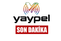 Yaypel Sticker by yaypelcompany