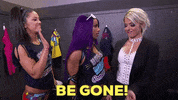 Go Away Reaction GIF by WWE