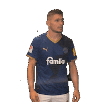 2 Bundesliga Football Sticker by Holstein Kiel