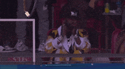 National Football League GIF by NFL