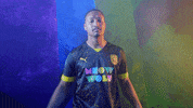 Meow Wolf Home Kit GIF by New Mexico United