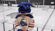 ontariotechridgebacks oshawa ontariotechridgebacks ontariotech ontario tech GIF