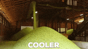 rogue ales loop GIF by Rogue Ales & Spirits