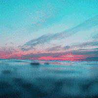 GIF by PBS