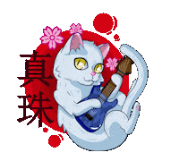 le_raccoon_anim music cat animals musica Sticker