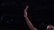 tim hardaway jr. celebration GIF by NBA