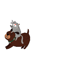 Alimentacaosaudavel Sticker by Affinity