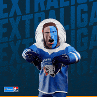 Hockey Hokej GIF by Tipsport extraliga