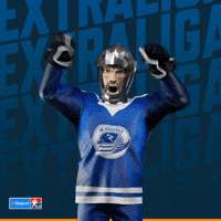 Hockey Hokej GIF by Tipsport extraliga