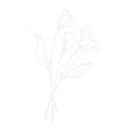 Flower Life Sticker