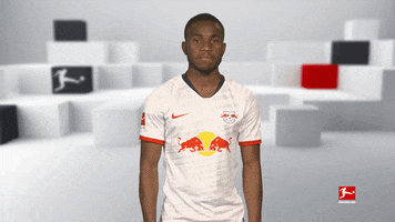 Red Bulls Love GIF by Bundesliga