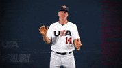 Pro GIF by USA Baseball
