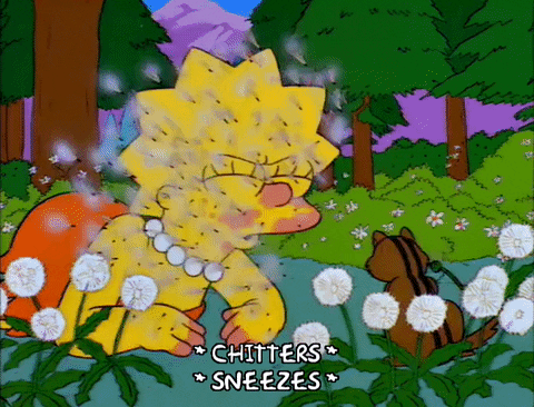 Spring-allergies GIFs - Get the best GIF on GIPHY