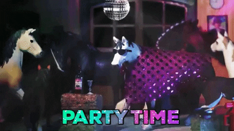 skintdressagedaddy giphygifmaker party horse disco GIF