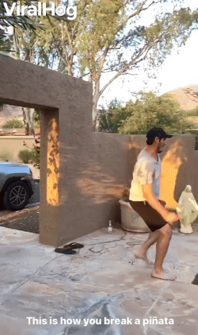 Dude Stylishly Takes Out Piñata