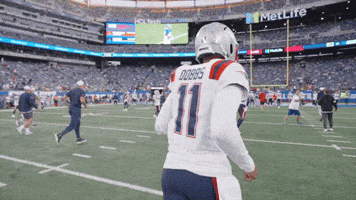 Joshua Dobbs Football GIF by New England Patriots