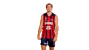 Vamos Lets Go Sticker by ACB