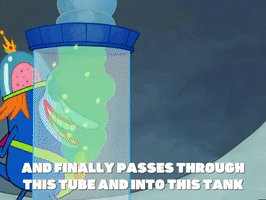 season 5 GIF by SpongeBob SquarePants
