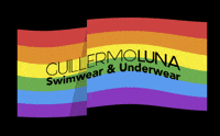 GuillermoL pride lgbt guillermoluna GIF