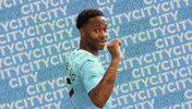 Premier League Football GIF by Manchester City