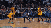 basketball GIF by WNBA